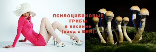 шишки Алзамай