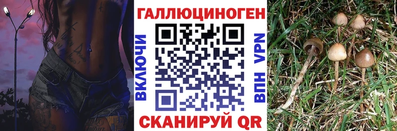 Галлюциногенные грибы Magic Shrooms  Пикалёво 